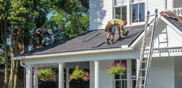 Best Roof Ventilation Installation  in Walterboro, SC